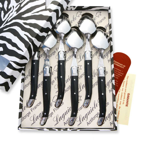 Box of 6 Laguiole ABS black soup spoons - Image 2610